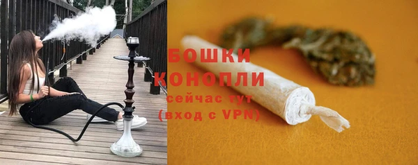 ПСИЛОЦИБИНОВЫЕ ГРИБЫ Дмитров
